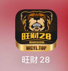 旺财28